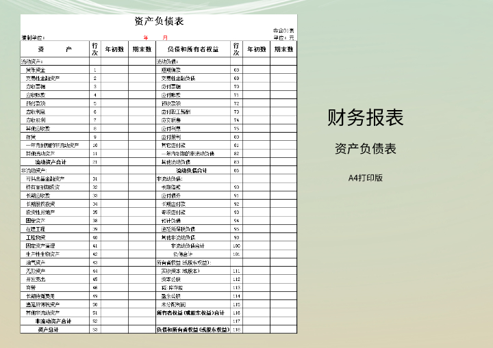 财务报表模板-A4打印版