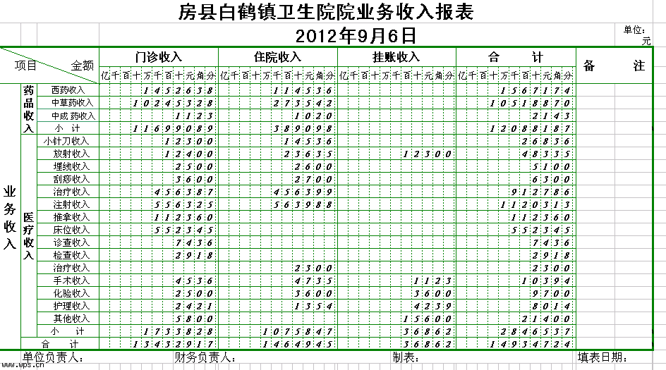 医院业务收入表
