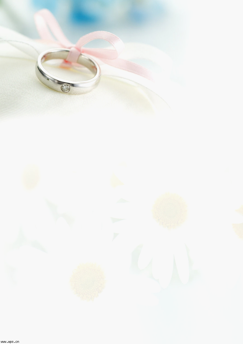 丝带戒指信纸
