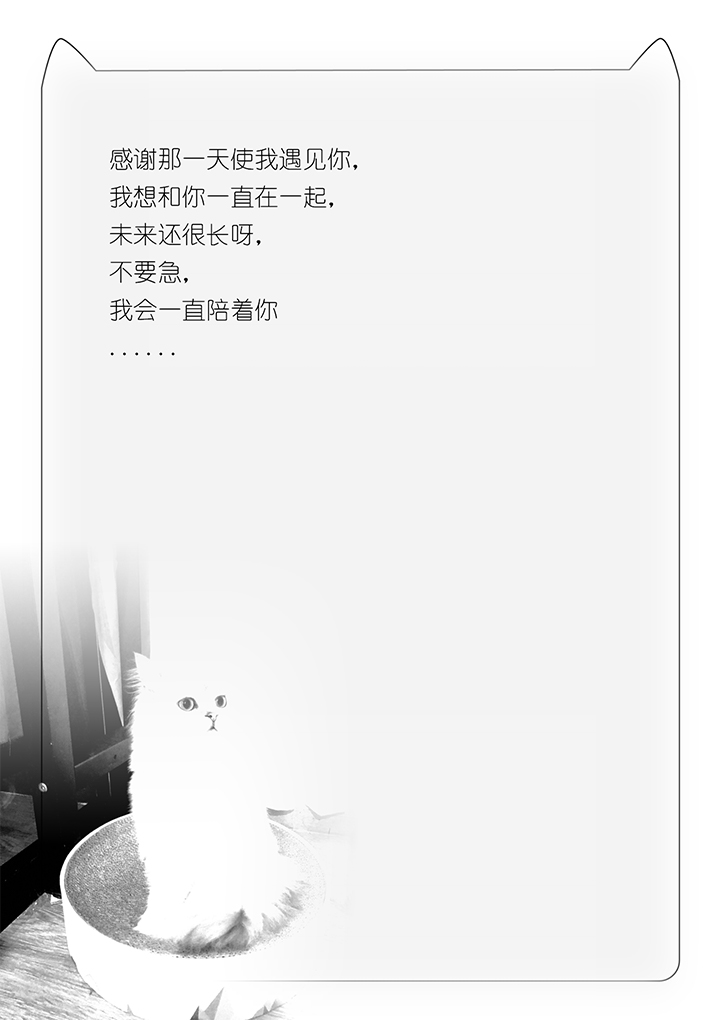 喵咪黑白简约信纸