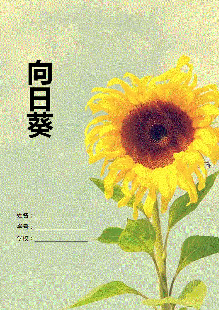 向日葵信纸封面