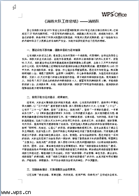 消防大队工作总结