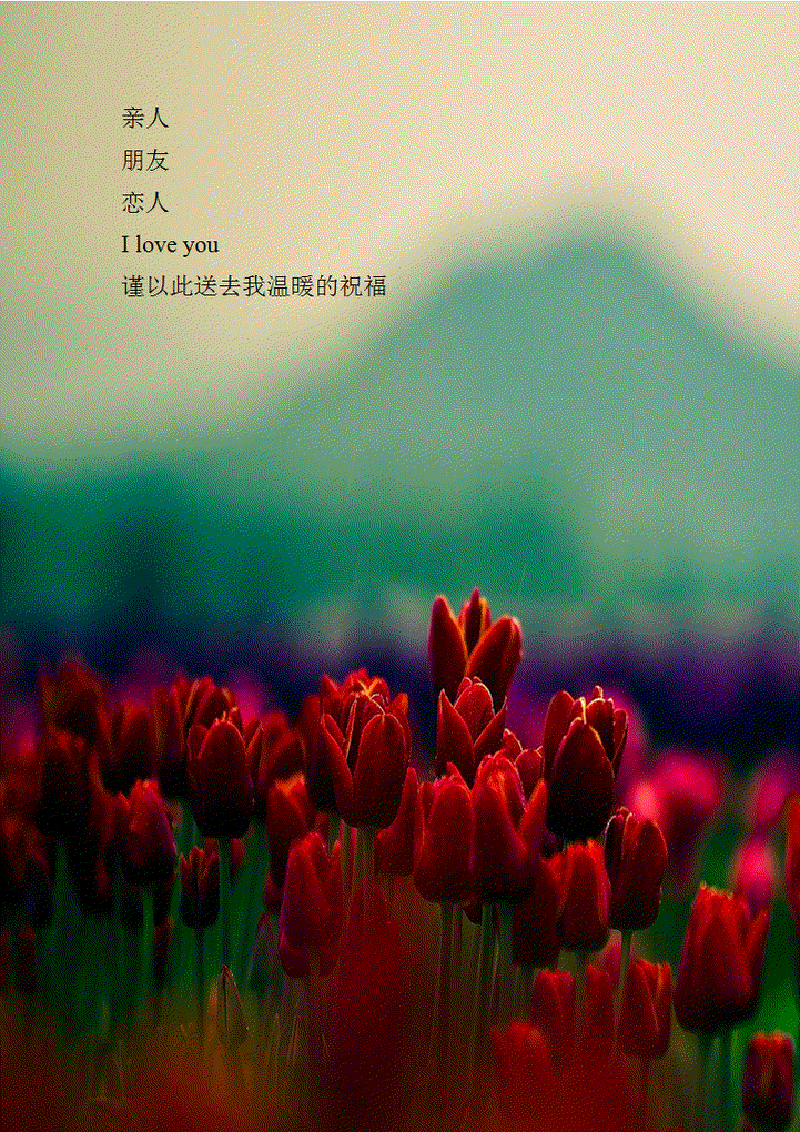 脉脉含情花语信纸